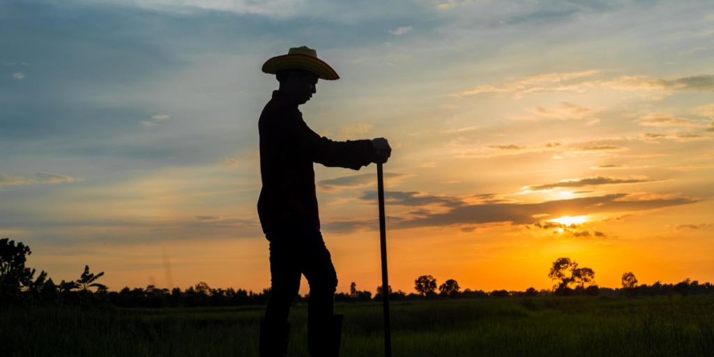 Trabalhador rural sem carteira assinada no campo